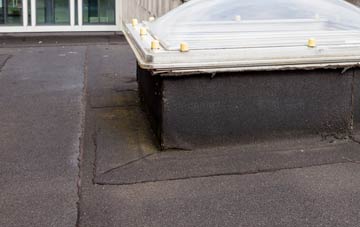 disadvantages of Leavenheath flat roofs