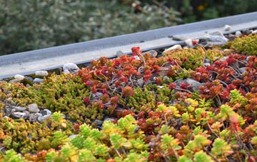 the cost of Leavenheath green roof installation