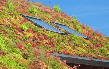 Leavenheath living roof systems