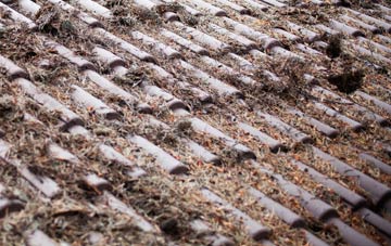 Leavenheath roof cleaning companies