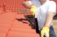 Leavenheath roof cleaners